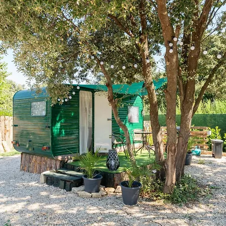 Campsite Cocoon Insolite
